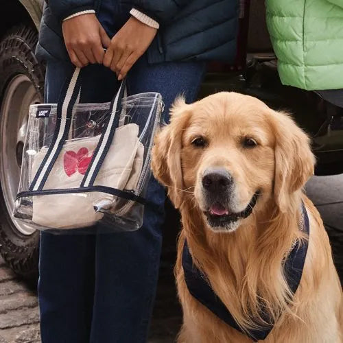 Clear Pocket Tote