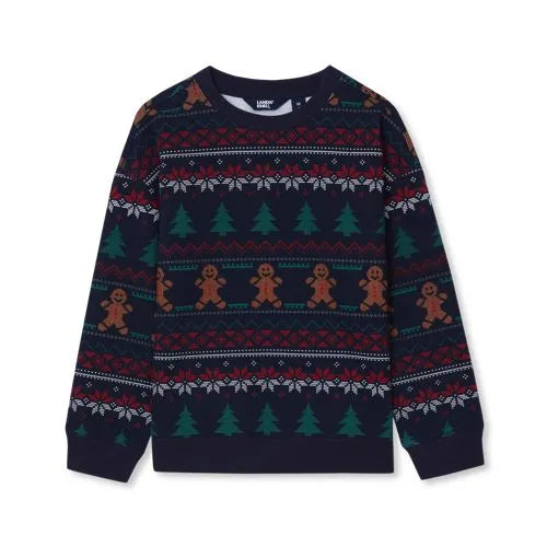 Boys Graphic Crew Neck Sweatshirt