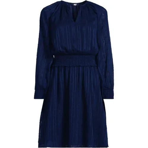 Women's Chiffon Clip Dot Dress