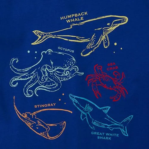 Boys Short Sleeve Graphic Tee