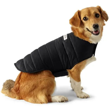 Dog Coat Wanderweight Jacket