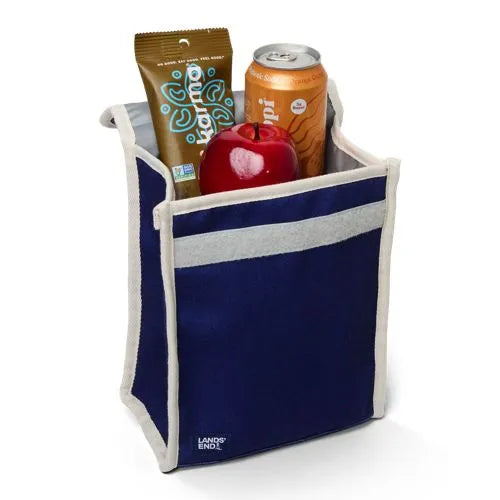 Small Insulated Cooler Bag