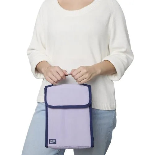 Small Insulated Cooler Bag