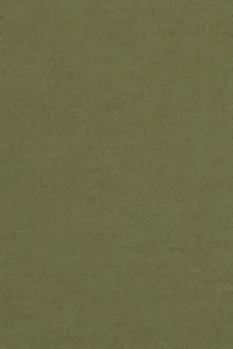Cannon Solid Cotton Percale Sheet Set