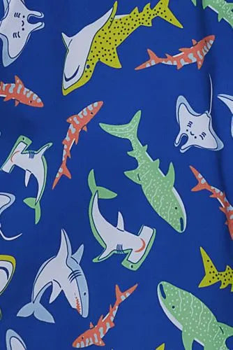 Boys Stretch Hydroliner Sport Swim Trunks