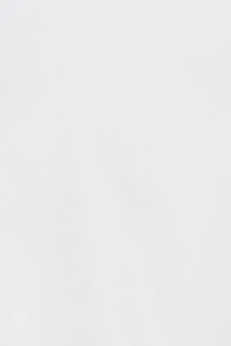 Men's Long Sleeve No Iron Pinpoint Stay Collar Dress Shirt