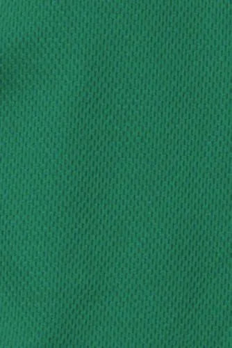 Boys Athletic Mesh Shorts
