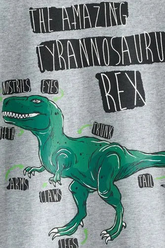 Boys Long Sleeve Graphic Tee
