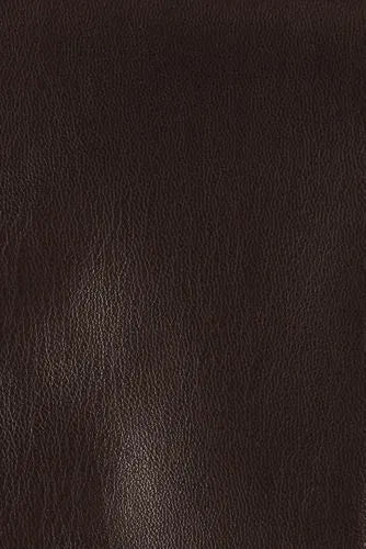 Women's Cashtouch Lined Faux Leather Glove