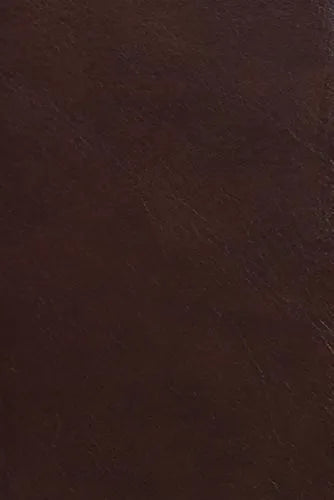 Men's Cashmere Lined EZ Touch Leather Glove